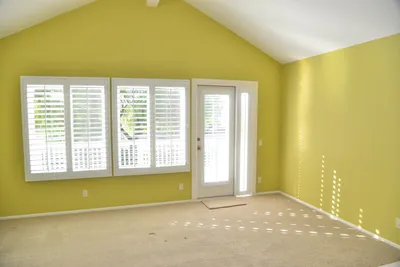 DSC_7356 (Large).JPG